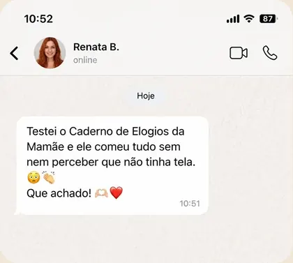 Depoimento de mãe usando o Kit do Almoço sem Tela